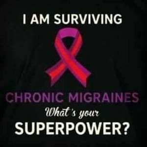 Meet your Posher, Ann